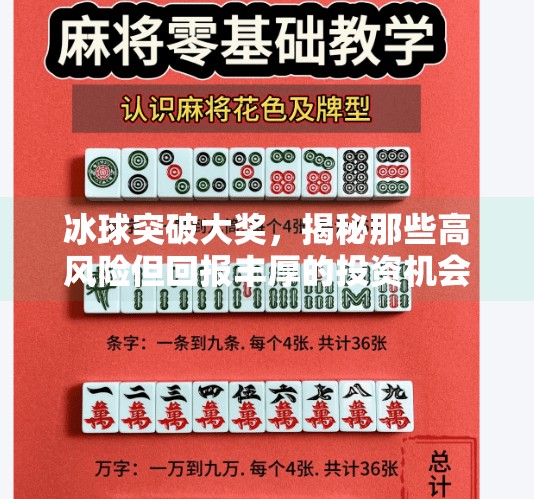 冰球突破大奖，揭秘那些高风险但回报丰厚的投资机会,冰球突破大奖赔率