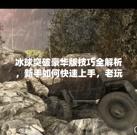 冰球突破豪华版技巧全解析,新手如何快速上手,老玩家如何进阶制胜?冰球突破豪华版技巧下载